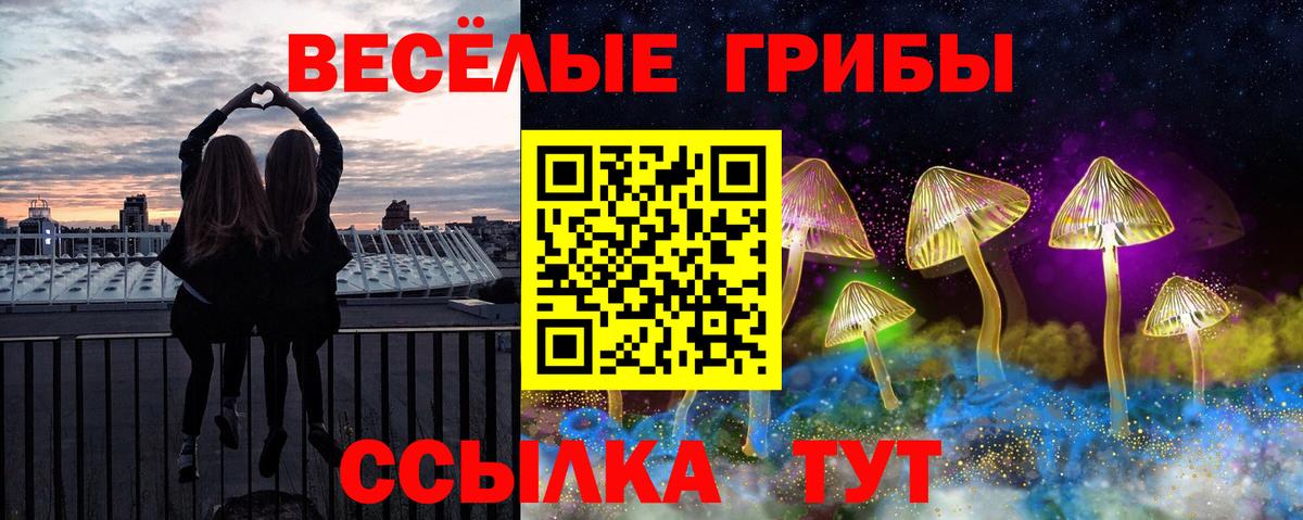 Галлюциногенные грибы GOLDEN TEACHER Ефремов